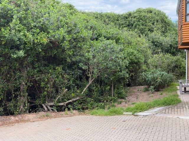0 Bedroom Property for Sale in Dwarswegstrand Western Cape